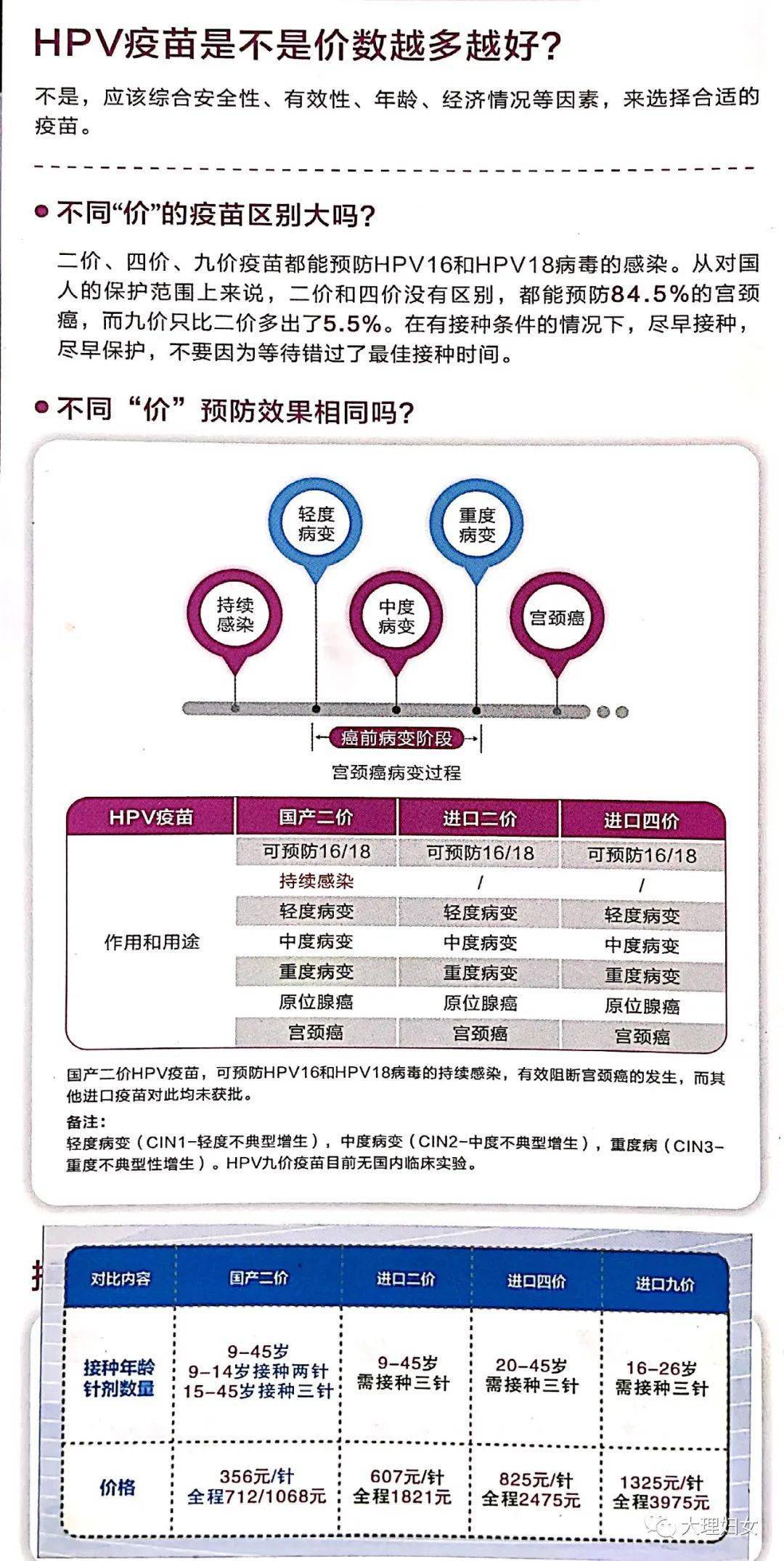 数码 第738页