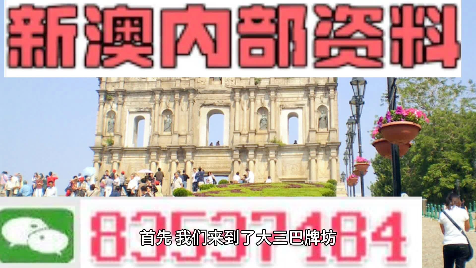 新澳2025正版资料免费公开|精选解析解释落实