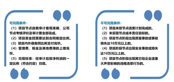 新奥天天免费资料大全精选解析，落实与解释的重要性