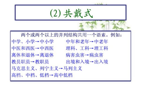 新奥之夜，词语释义、解释与未来展望（以2024与2025为焦点）