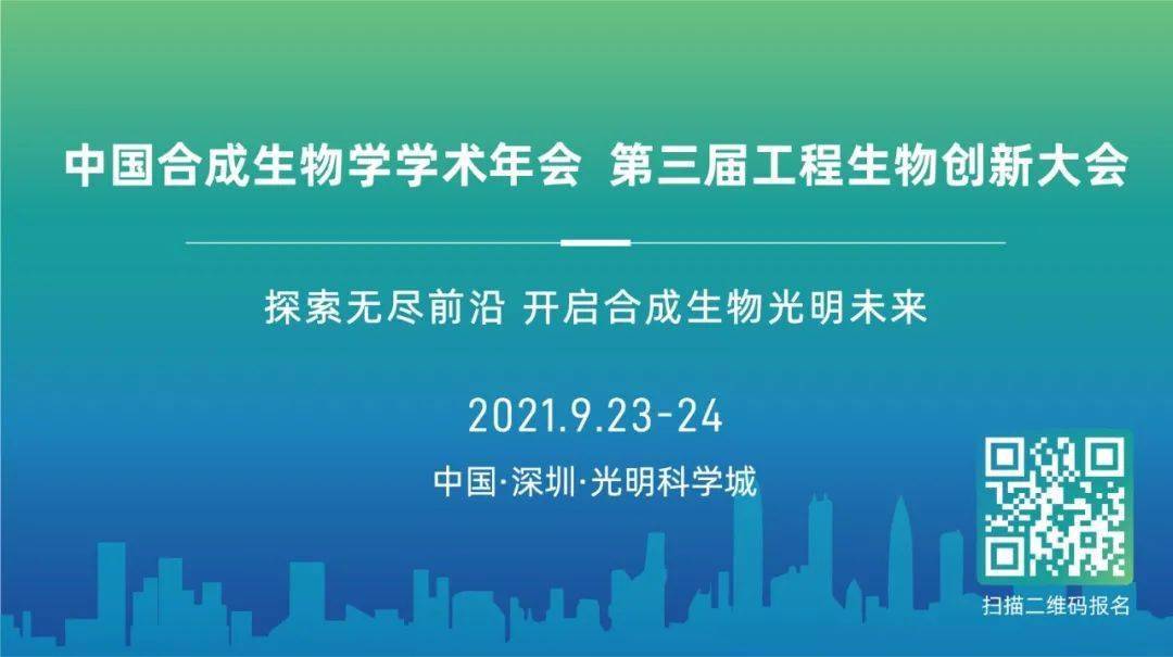 探索未来，2024与2025新澳资料大全免费精选解析与落实策略