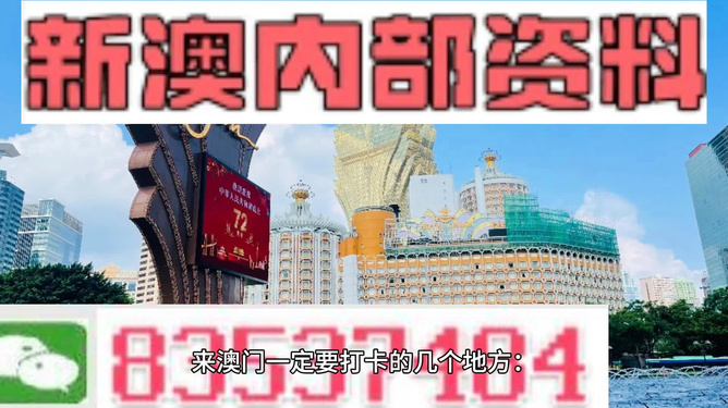 新澳门兔费资料，词语释义解释落实的重要性与策略探讨（2024-2025）