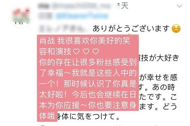 澳门平特一肖100%准资点评，全面释义解释与落实策略探讨