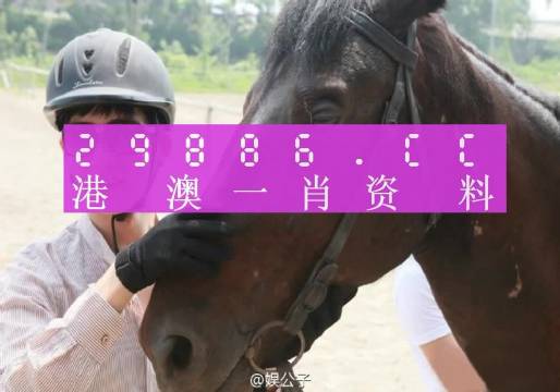 澳门今晚必中一肖一码查询，全面释义、解释与落实