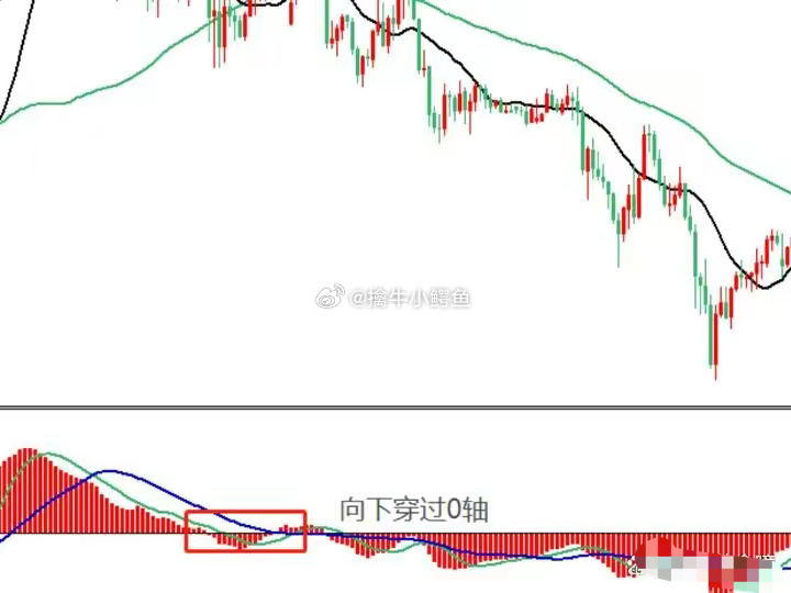 澳门特马开奖历史，实用释义解释与落实策略分析（以2024-2025年为焦点）