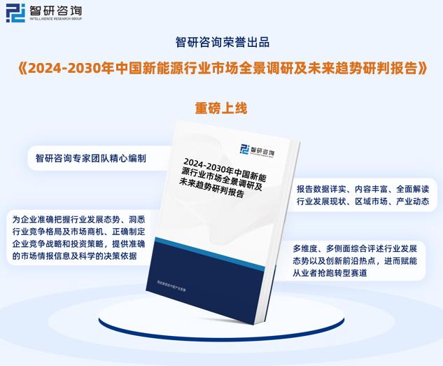 揭秘2024-2025新奥正版资料，精选解释解析与落实策略