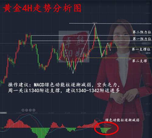 澳门特马今晚开奖第113期，全面贯彻解释落实的重要性与策略