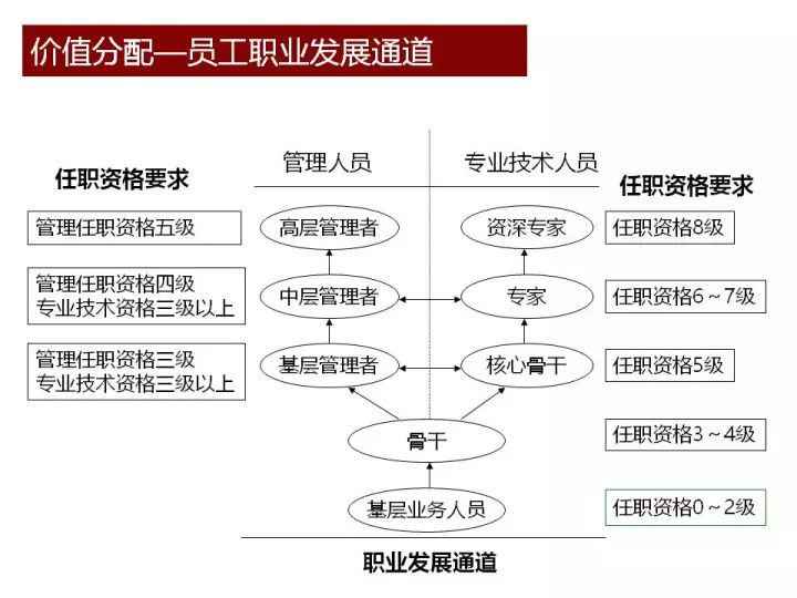 关于澳彩图库免费资料的全面释义与落实策略（面向2024-2025年）