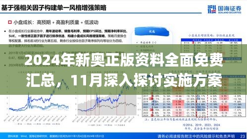 新奥好彩免费资料查询2024-2025版，全面释义解释与落实策略