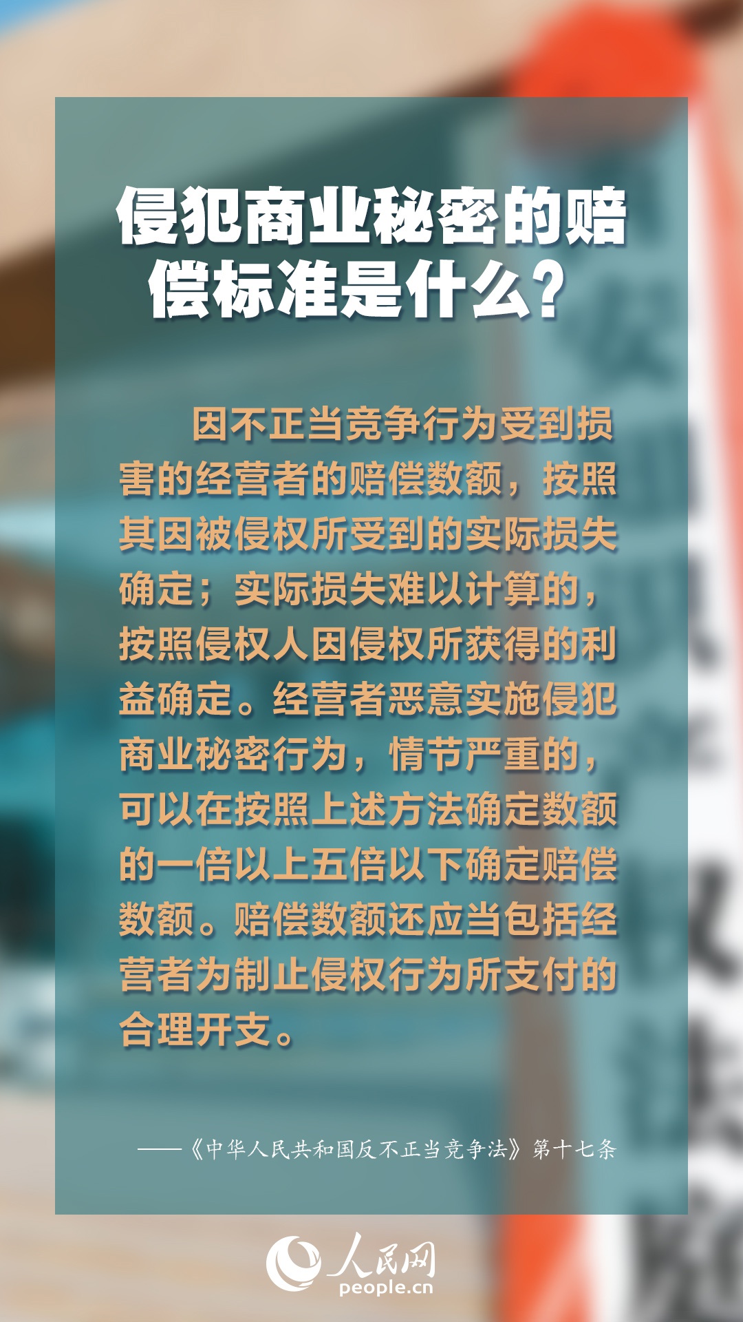 全面解析与贯彻实施，关于二四六天天天彩天好彩资料大全的综合解读与应用