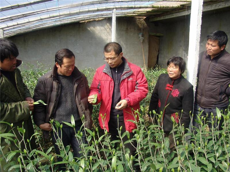 东海晶都书院最新消息全面解读