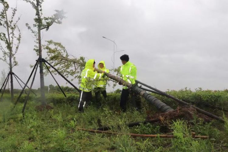 香港遭遇八号台风，最新动态与应对措施