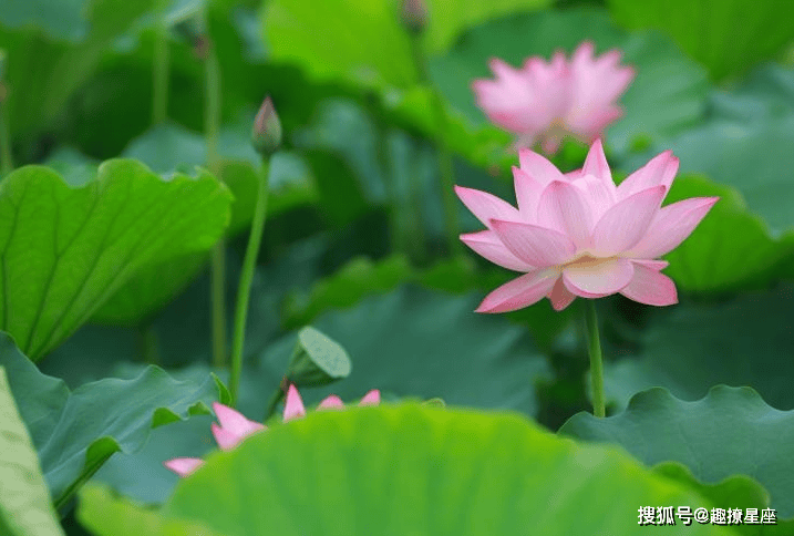 当前台海局势最新消息，复杂多变中的稳定与机遇并存