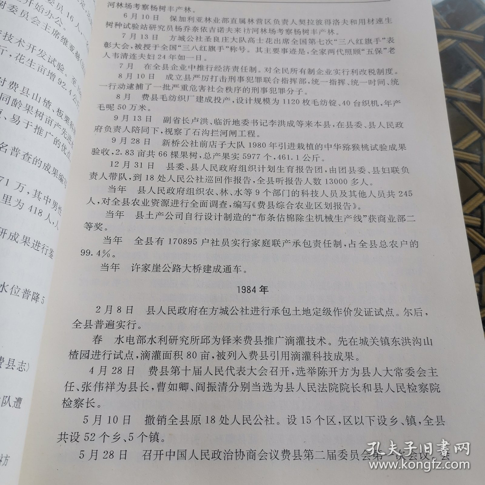 费县龙之媒最新电子版研究报告